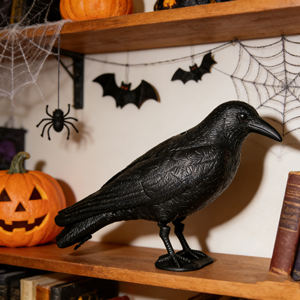 Offre Spéciale : Leurre réaliste en plumes de corbeau noir pour la chasse en extérieur, léger et résistant à l'eau en PE - Product Image 6