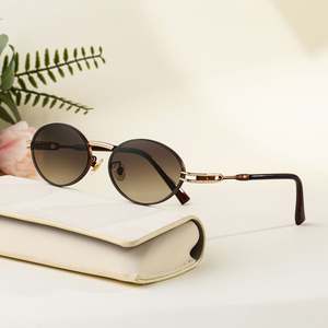 Lunettes de soleil ovales vintage 2025 personnalisées avec logo, en alliage, style punk, pour hommes et femmes, protection UV400, petite monture - Product Image 2