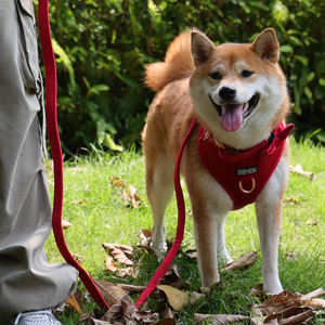 OKEYPETS rompi Harness anjing, Logo kustom beludru kualitas tinggi dapat disesuaikan tanpa tarik anjing mewah Set tali sesuai - Product Image 5