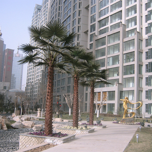 Al aire libre grande <span class=keywords><strong>Tropical</strong></span> Artificial Washington Palm árbol decorativo - Product Image 2