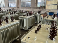 Transformateur de puissance triphasé immergé dans l'huile SL13-M efficace 300 kVA 11 kV 433 V 50/60 Hz à enroulement en aluminium