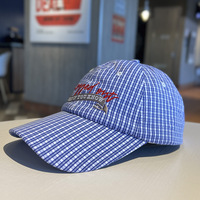 Gorra de béisbol coreana con rayas a cuadros, sombrero de sol bordado fino y transpirable, gorra con visera para exteriores para padres e hijos, para mujer, verano