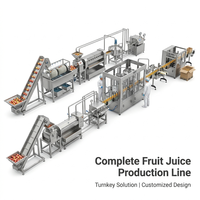 Ligne de traitement entièrement automatique de jus de fruits frais (orange, agrumes, citron)