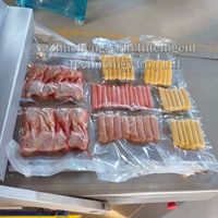 Machine d'emballage sous vide alimentaire commerciale pour saumon, crevettes, filets de poisson, fruits de mer congelés, scellage sous vide