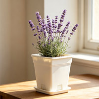 Pot Bunga Plastik Modern untuk Kebun, Lubang Drainase Indoor/Outdoor, Pot Bunga Tahan Lama, Tanaman Indoor Grosir Murah