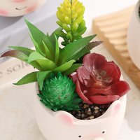 Ensemble créatif de plantes succulentes en céramique avec pot en forme de cochon mignon, plantes vertes pour bureau, peinture d'animaux de dessin animé