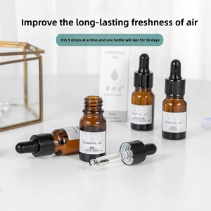 Rentable 10ml Hôtel Huile Essentielle Aromathérapie Chambre Lavande Plante Encens Soluble Dans L'eau Humidificateur Reed Diffuseur - Product Image 4
