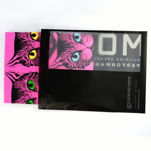 Bolsa de cremallera personalizada con logotipo biodegradable, bolsas de embalaje con cierre de cremallera esmerilada negra con ventana, bolsa con cremallera para <span class=keywords><strong>ropa</strong></span> - Product Image 2