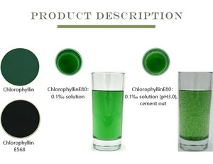 เกลือคลอโรฟิลล์ผงโซเดียมทำจากทองแดง99% ผงโซเดียมสำหรับ E568 E80 - Product Image 2