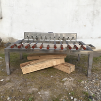 Grill automatique moderne pour kebab et rôtisserie brésilienne, brochettes plates, en acier inoxydable, léger, portable, chariot de camping