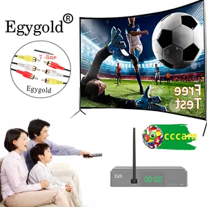 Egygold Stable Europe Canal+ Poland TVP 4K Cccam 7 Lines Egygold Cccam Oscam for Spain Germany Poland Free Test
