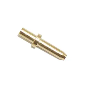 OEM Factory Custom Brass Pin Brass Hinge W Swivel Pin Tapered Pin for Electric Generators