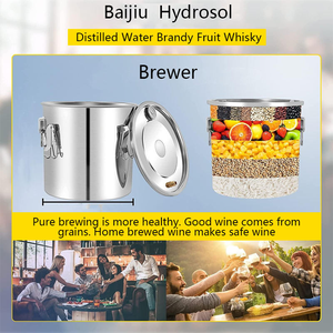 Éthanol whisky bière eau alcool distillateur équipement alcool Kits usage domestique Brandy whisky distillateurs maison brassage Machine - Product Image 3