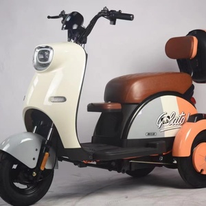 Tricycle électrique pour personnes âgées 600W, tricycle familial électrique à vendre avec batterie au plomb-acide - Product Image 2