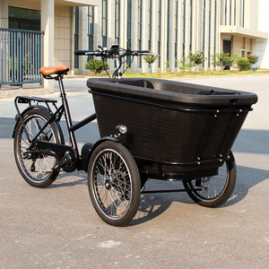Bestseller dal Magazzino Olandese UE <span class=keywords><strong>Cargo</strong></span> Bike <span class=keywords><strong>Elettrica</strong></span> Olandese a 3 Ruote per Famiglie Bakfiets Rimorchio <span class=keywords><strong>Bici</strong></span> E-<span class=keywords><strong>cargo</strong></span> - Product Image 4
