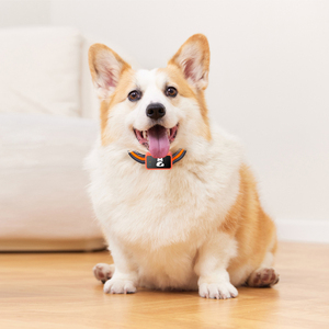 Thời gian thực GPS Dog Tracker với ảo hàng rào không thấm nước PET Tracker cổ áo làm bằng nhựa và nylon - Product Image 3