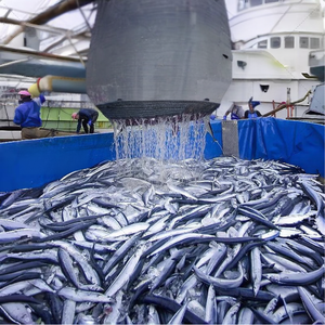 Saury del Pacífico Congelado a Granel, Tamaño Pequeño 3, Material Crudo Capturado en el Campo para Fábricas de Enlatado y Procesamiento de Snacks en el Sudeste Asiático - Product Image 3