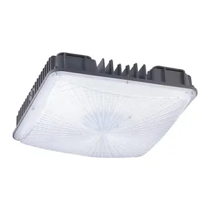 Garansi 5 Tahun Lampu Led Langit-langit Kotak Luminaire Kanopi Bensin Perlengkapan Lampu Retrofit