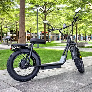 वेयरहाउस तैयार स्टॉक इलेक्ट्रिक बाइक 1000 डब्ल्यू 20 इंच फैट टायर ई-बाइक 250 डब्ल्यू शहरी इलेक्ट्रिक साइकिल से 25 किमी/घंटा