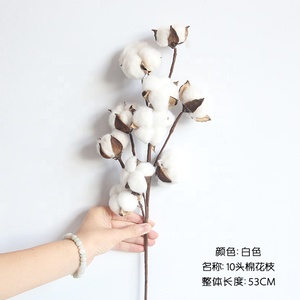 JCF239 naturale dieci <span class=keywords><strong>rami</strong></span> di cotone autunno fiori secchi <span class=keywords><strong>decorativi</strong></span> steli di cotone bianco per composizioni floreali - Product Image 6