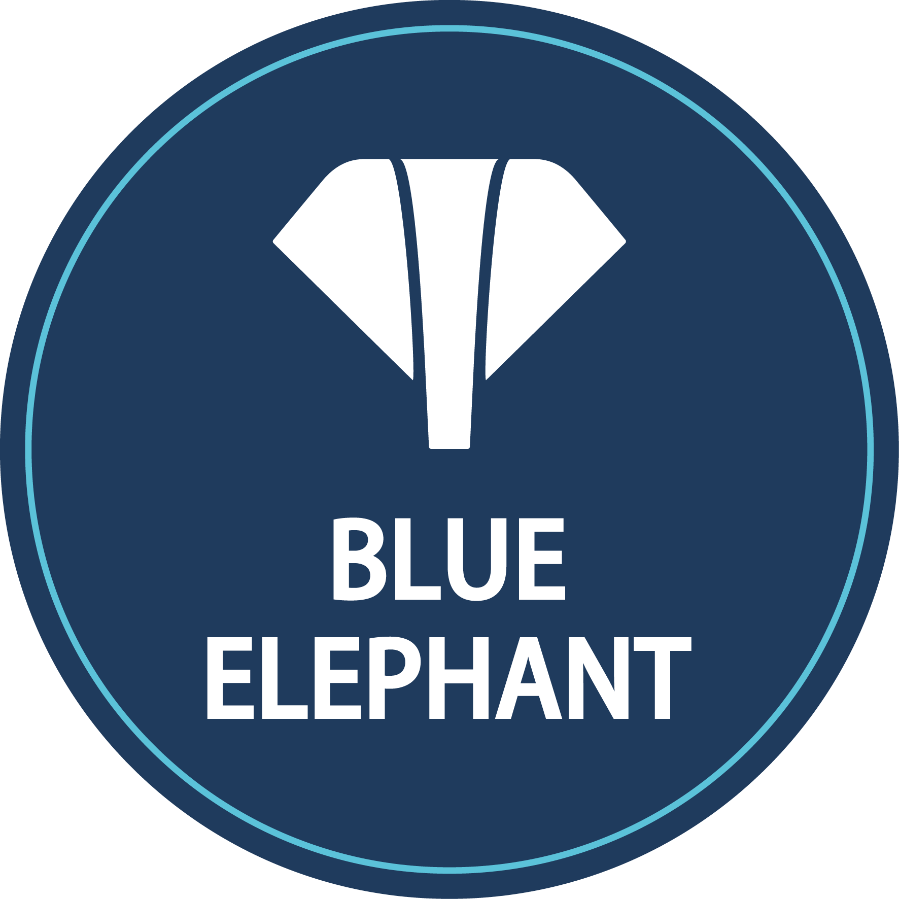 Shandong Blue Elephant Cnc Tech Co., Ltd. logo