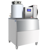 Meilleure Vente Machine à Glaçons en Cubes, en Éclats ou en Flocons 500kg pour Hôtels ou Supermarchés