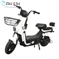 Vélo Électrique Urbain Haute Vitesse 350W 48V à Faible Entretien, Cadre Haute Performance, Économique, Alimenté par Énergie Solaire, Vélo Électrique au Plomb