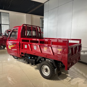 Tricycle WangHu Adulte Kenya de Haute Qualité, Moteur Puissant <span class=keywords><strong>200cc</strong></span> à Refroidissement Liquide, Châssis Ouvert, Charge Utile <span class=keywords><strong>2T</strong></span> 1.3x2M - Product Image 4