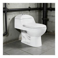 WC monobloc 3/6L à économie d'eau, design siphonique à double chasse, 300 mm, pour l'Amérique latine