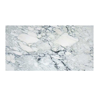 Grande dalle de marbre Arabescato blanc de luxe, polie, durable, imperméable, moderne, pour villa, chambre, salon, salle de bain