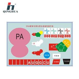Fabricant de dispositifs magnétiques de démonstration de la réplication de l'ADN et de la synthèse des protéines Qinghua - Vente directe pour l'enseignement biologique - Product Image 1