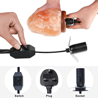 Support d'ampoule avec variateur d'intensité 250V 10A, cordon d'alimentation 3 conducteurs en cuivre pur IP11 ignifuge BS vers IEC E14 pour appareils électroménagers