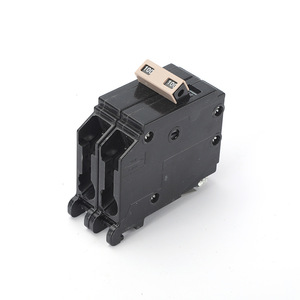 Interruptor de Circuito Enchufable Sika 2P 100A Tipo CH Curva B 230V Interruptor Miniatura de Baja Tensión - Product Image 4