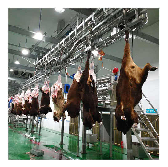 Modular Slaughterhouse for Cattle - High Productivity