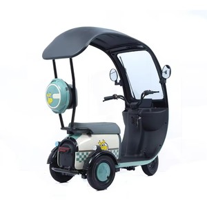 Lightweight Tricycle Two-person Tricycle Leisure Tricycle - Product Image 3