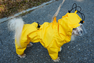 Gros personnalisé mode grand cire personnalisé orange écologique imperméable concepteur manteau <span class=keywords><strong>pour</strong></span> chiens <span class=keywords><strong>pour</strong></span> grands chiens - Product Image 2