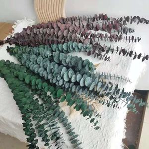 باقة أوراق الأوكالبتوس المحفوظة عالية الجودة بسعر رخيص للبيع بالجملة لتزيين حفلات الزفاف والمنزل - Product Image 1