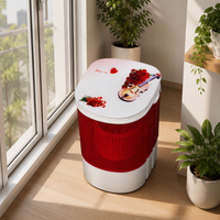 Mini Lave-linge Compact Portable Électrique à Cuve Unique pour Voyage, Chaussettes, Sous-vêtements, Petite Cuve