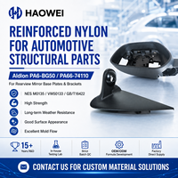 Nylon PA modifié renforcé, matériau spécial HW PA6-BG50-PA66-74110, couleur personnalisée pour pièces automobiles, applications médicales et alimentaires