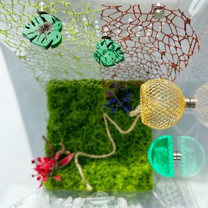 Set di 6 Accessori per Ragni Saltatori, Habitat per Tarantole con Corda di Canapa, Sfaldini a Forma di Foglia, Rete di Riposo con Magnete, Recinto per Insetti - Product Image 3