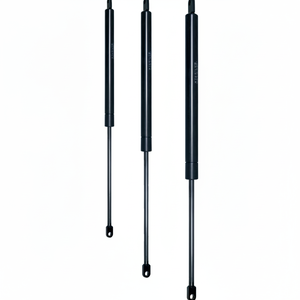 C 200 Stroke F 300 N CILINDRO OLEOPNEUMÁTICO (VO20/030) Producto de seguridad y protección - Product Image 1