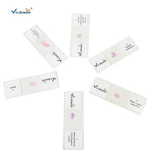 50の人間の一般的な病理学および動物の病理学の固定セットは、教育医学の供給のためのマイクロスコペスライドを準備しました - Product Image 2