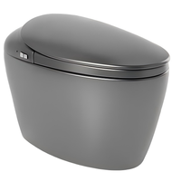 Toilettes intelligentes sans limite de pression d'eau, avec réglage de la pression d'eau, pour chambre à coucher