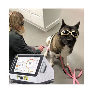 Veterinär medizinische Laser-Berufsbild ungs maschine für chronische Schmerzt herapie und postoperative Rehabilitation - Product Image 1