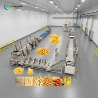 Ligne de production entièrement automatique de frites et de pommes de terre, capacité de production de 300 kg/heure
