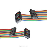 Câble plat IDC vers IDC personnalisé de 2,54 mm pour fils électriques 6P 10P 14P 16P 20P 40P, câble plat à ruban IDC