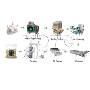 Machine de classement de coupe d'ail Machine d'épluchage d'ail industrielle de la Chine en Inde - Product Image 1