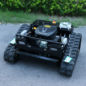 Cortadora de Césped a Control Remoto AWY-550, Precio Económico Directo de Fábrica, Modelo RV225, para Agricultura - Product Image 3