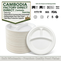 Assiettes alimentaires en bagasse sans PFAS, 9-10 pouces, 3 compartiments, jetables, biodégradables, compostables, en fibres végétales, vente en gros