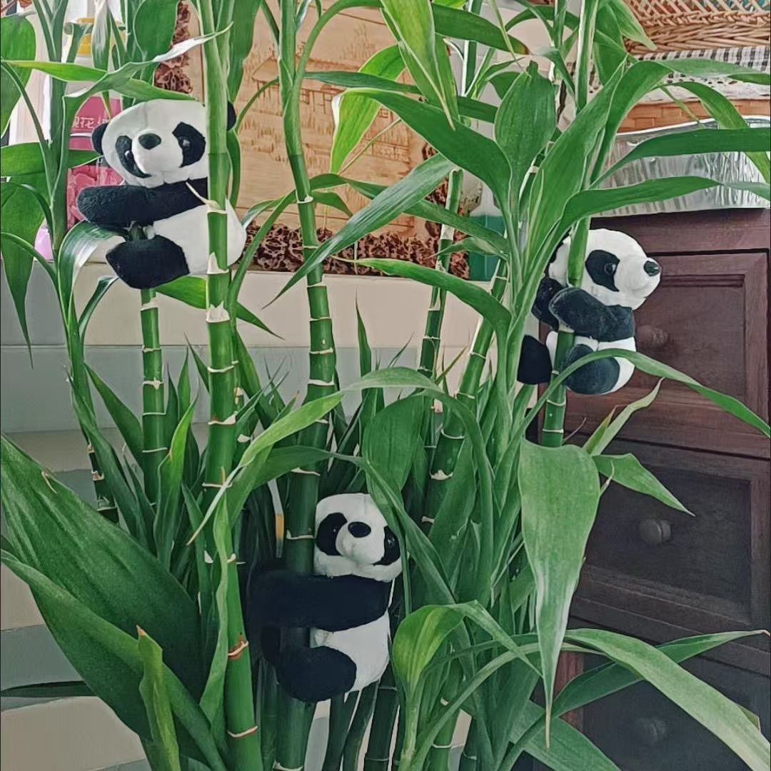 [Clips de panda] 3